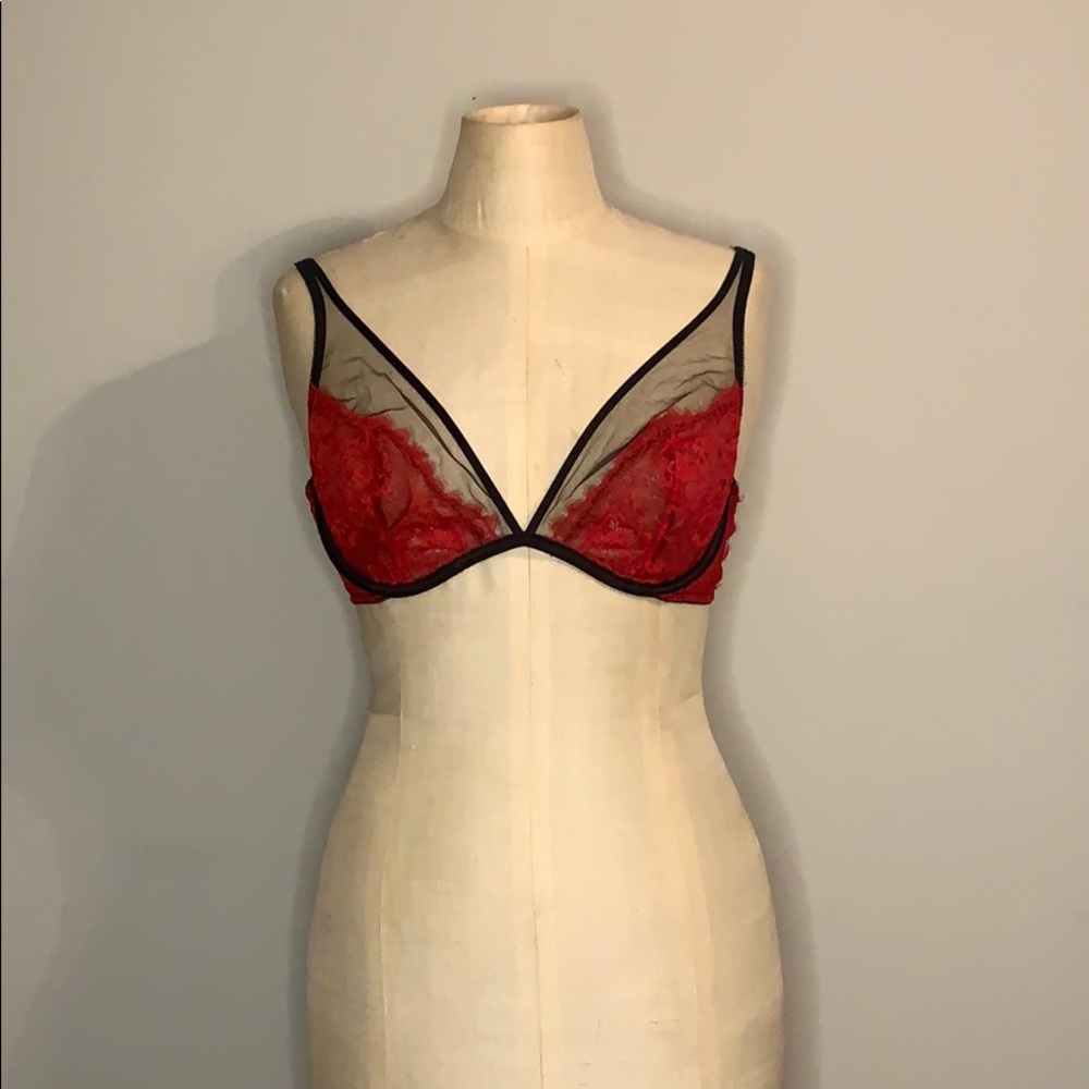 Sheer and Lace Bra